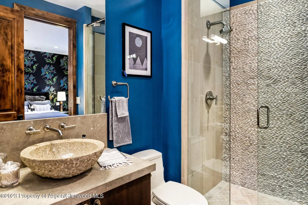 19 of 32 - 537 Race Street, Aspen, CO