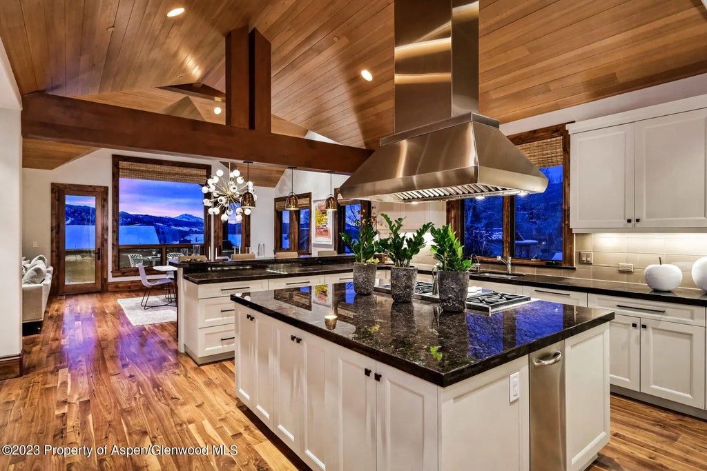 5 of 32 - 537 Race Street, Aspen, CO