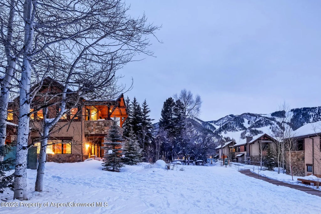 9 of 32 - 537 Race Street, Aspen, CO