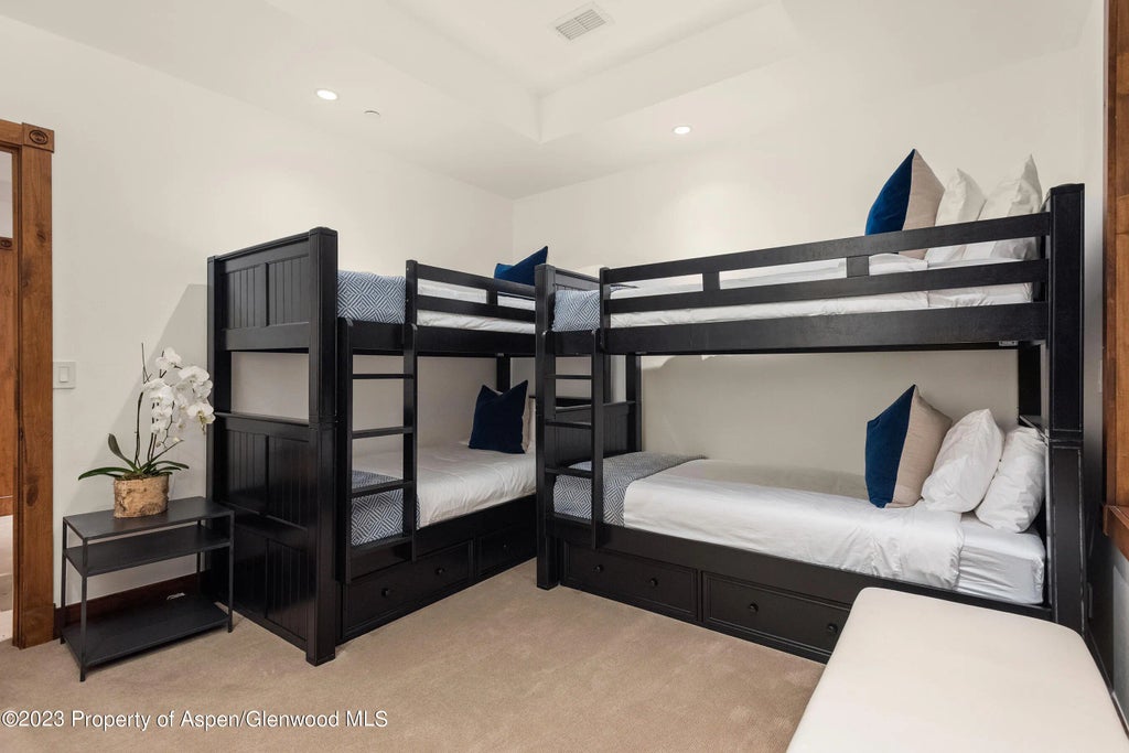 10 of 12 - 503 W Main Street B102, Aspen, CO