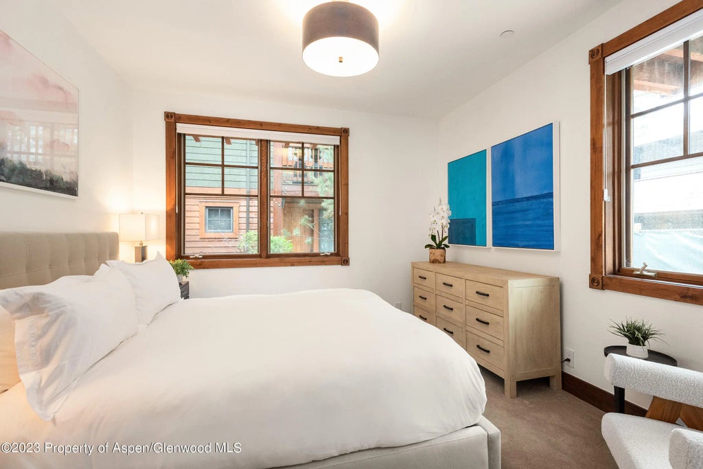 8 of 12 - 503 W Main Street B102, Aspen, CO