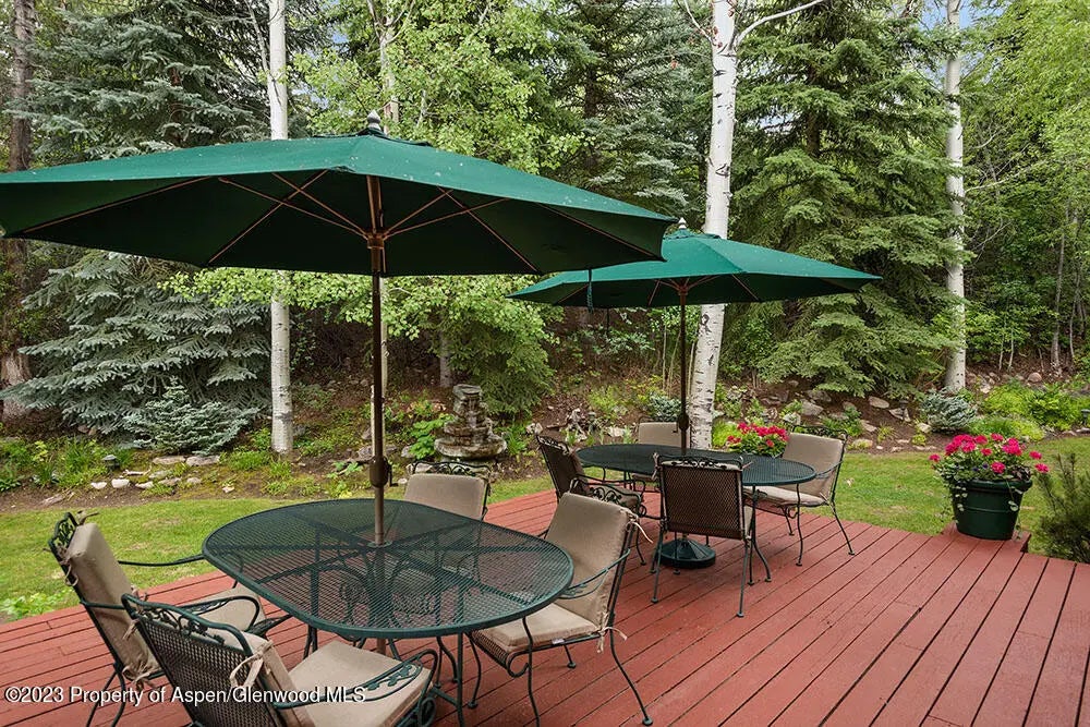 45 of 48 - 730 Bay Street, Aspen, CO