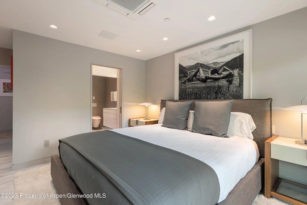 10 of 19 - 555 E Durant Avenue 2l, Aspen, CO