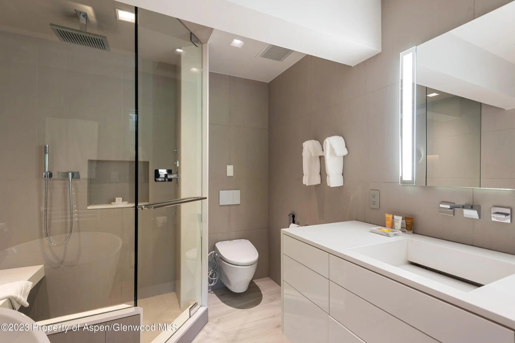 11 of 19 - 555 E Durant Avenue 2l, Aspen, CO