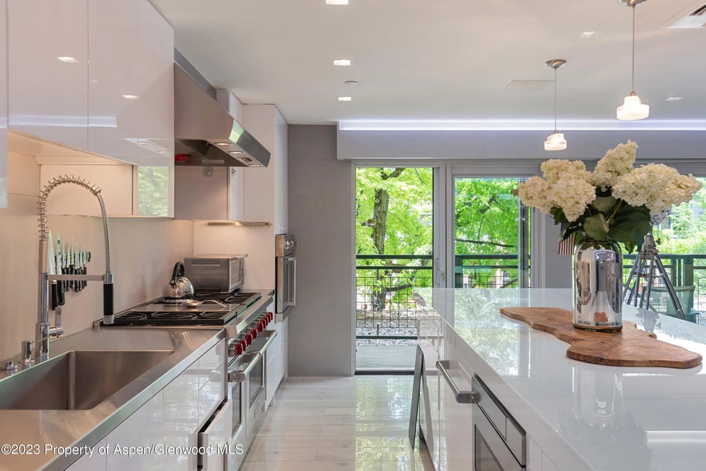 6 of 19 - 555 E Durant Avenue 2l, Aspen, CO