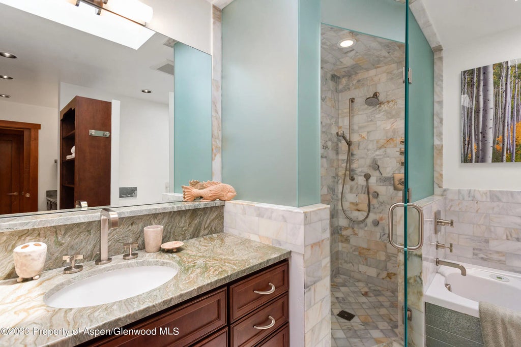 12 of 23 - 917 E Durant Avenue, Aspen, CO