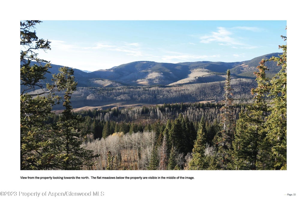11 of 29 - Tbd Woods Lake Area, Basalt Rural, Basalt, CO