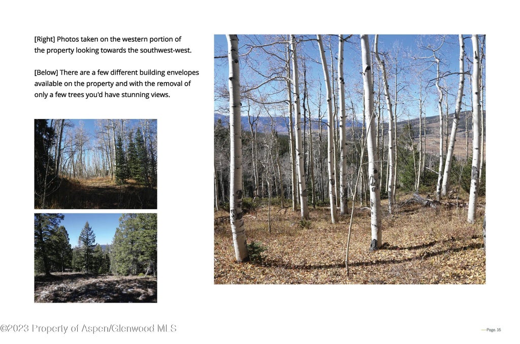 16 of 29 - Tbd Woods Lake Area, Basalt Rural, Basalt, CO