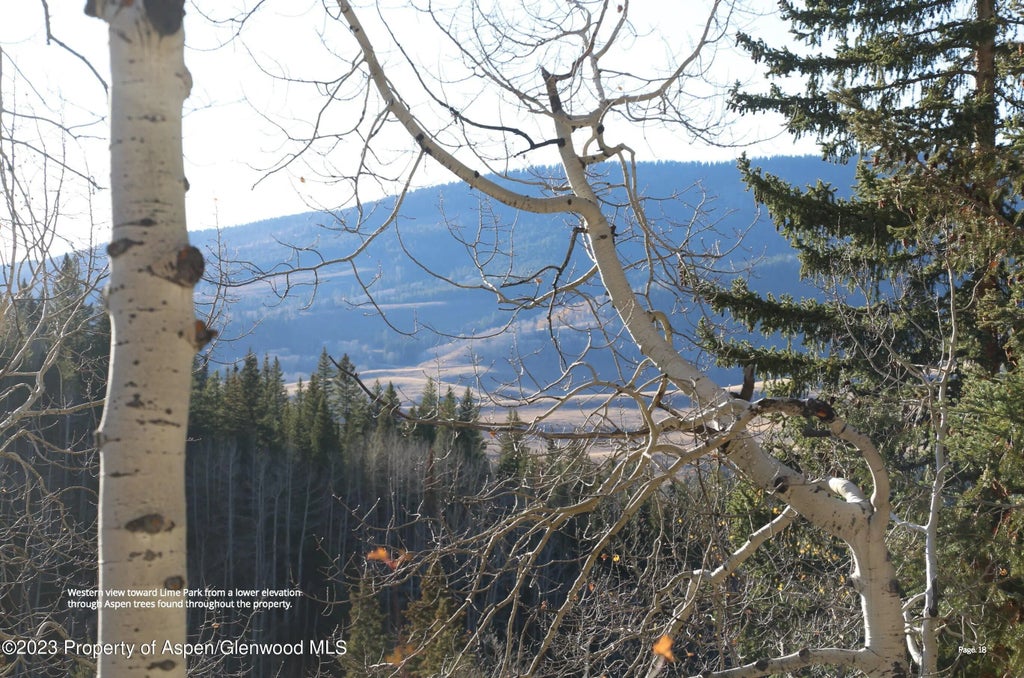 18 of 29 - Tbd Woods Lake Area, Basalt Rural, Basalt, CO