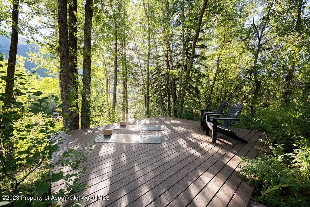 14 of 82 - 1490 Ute Avenue, Aspen, CO