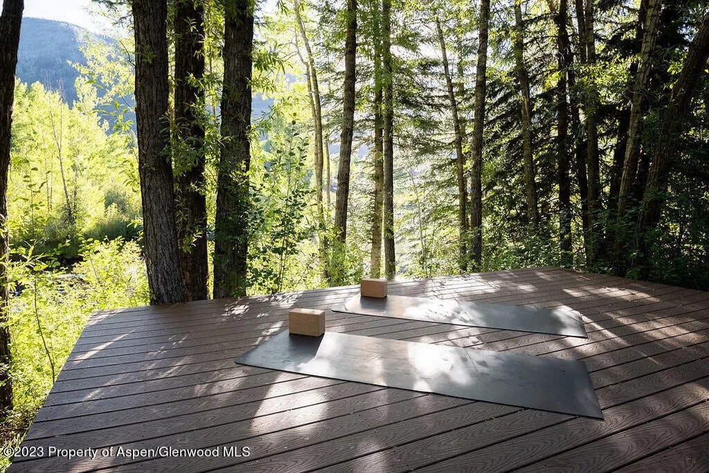 15 of 82 - 1490 Ute Avenue, Aspen, CO