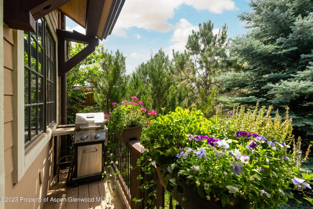 20 of 24 - 162 Juniper Trail, Carbondale, CO