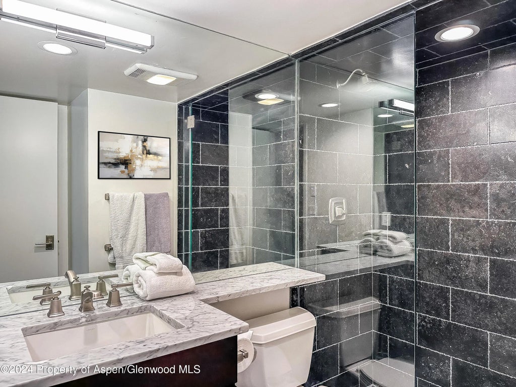 22 of 27 - 1039 E Cooper Avenue 17a, Aspen, CO