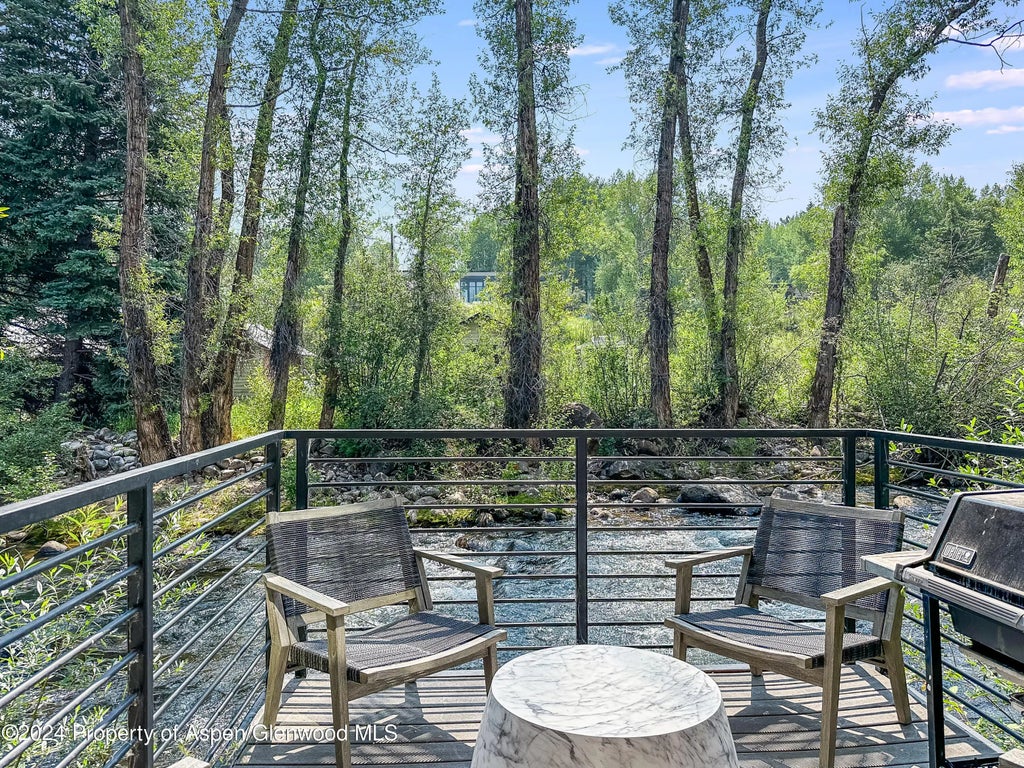 5 of 27 - 1039 E Cooper Avenue 17a, Aspen, CO