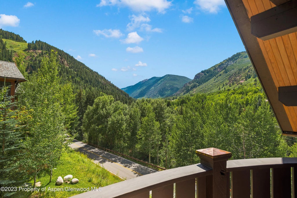 15 of 47 - 83 Exhibition Lane, Aspen, CO