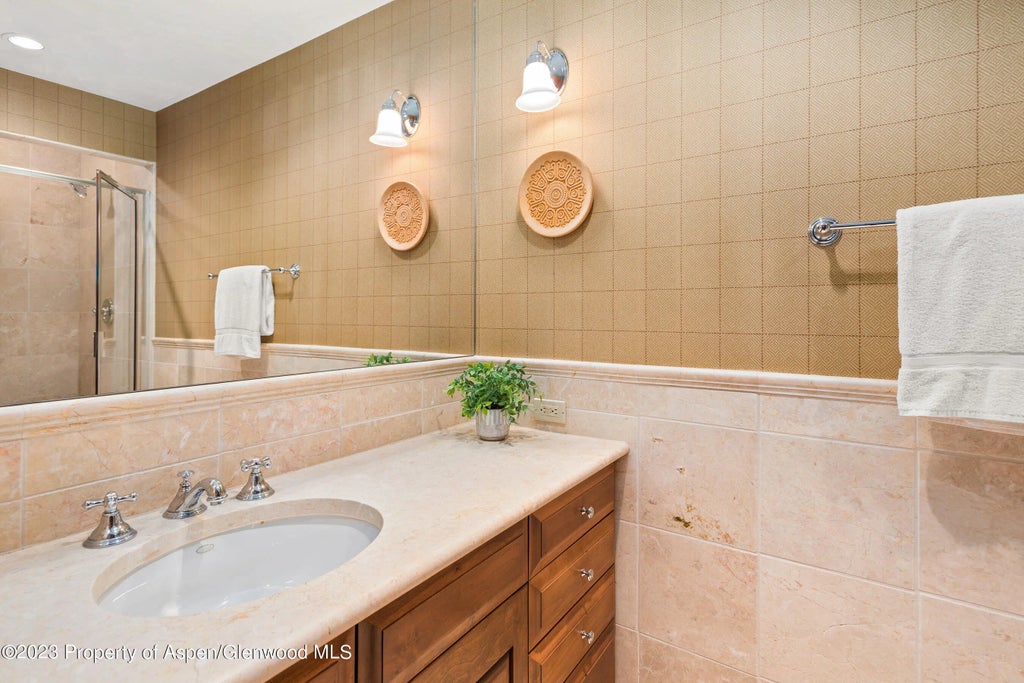 28 of 47 - 83 Exhibition Lane, Aspen, CO