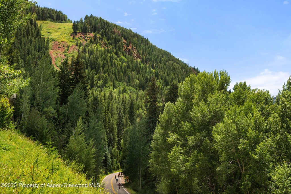 45 of 47 - 83 Exhibition Lane, Aspen, CO