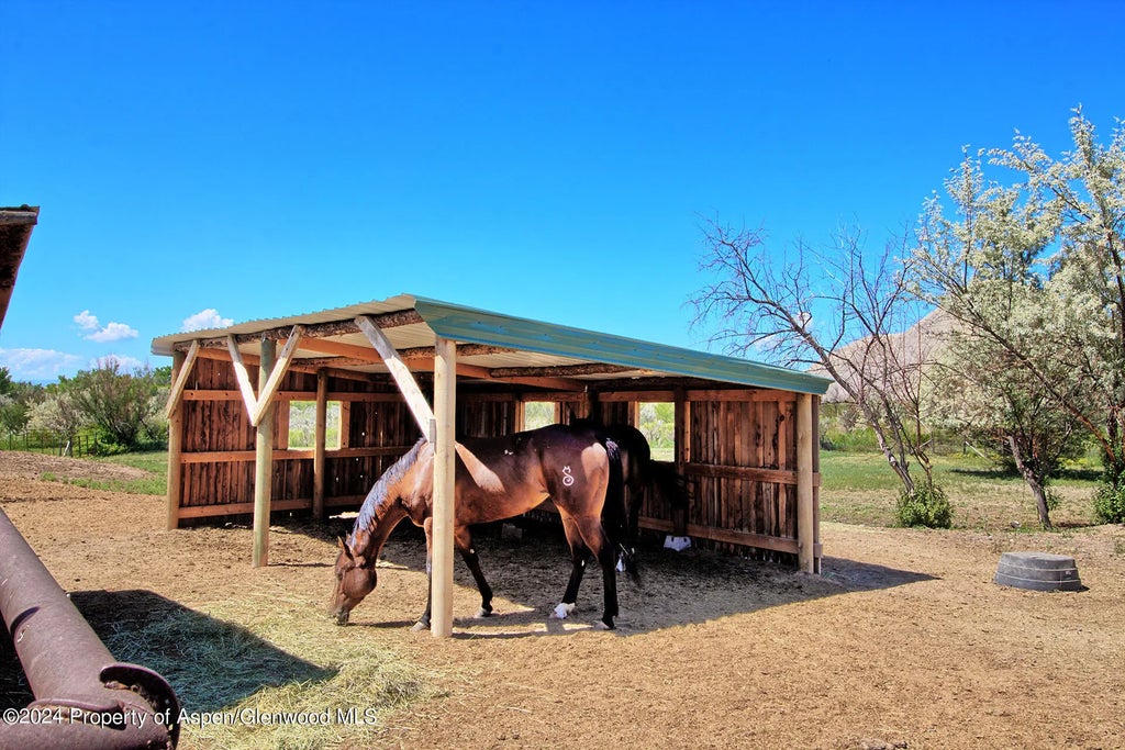 22 of 24 - 10341 Tongue Creek Road, Austin, CO