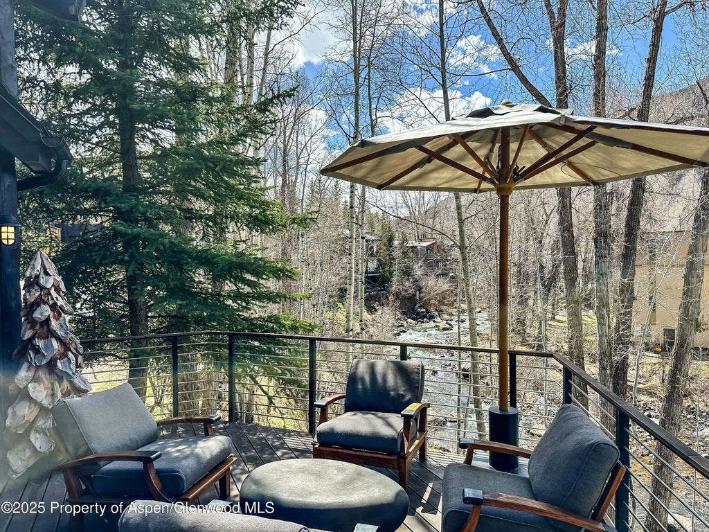 30 of 31 - 341 Park Avenue, Aspen, CO