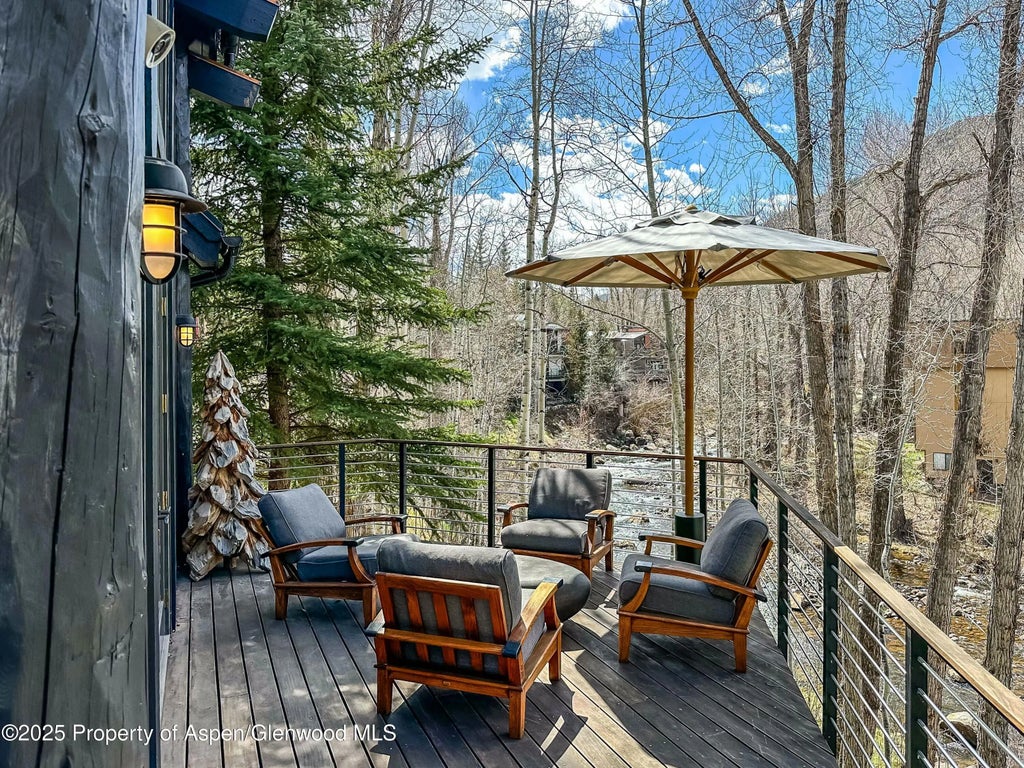 5 of 31 - 341 Park Avenue, Aspen, CO