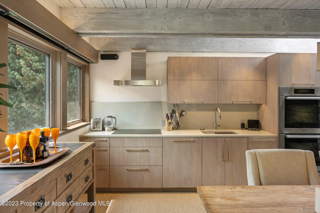 10 of 21 - 525 S Original Street Unit F, Aspen, CO