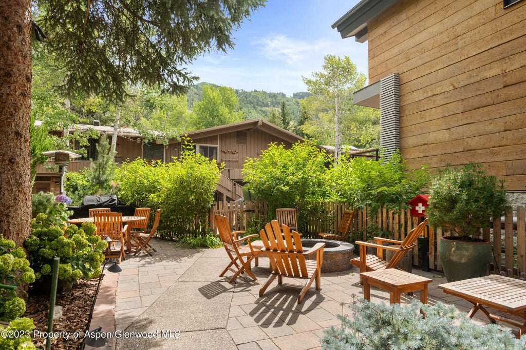 20 of 21 - 525 S Original Street Unit F, Aspen, CO