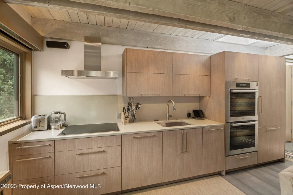 9 of 21 - 525 S Original Street Unit F, Aspen, CO