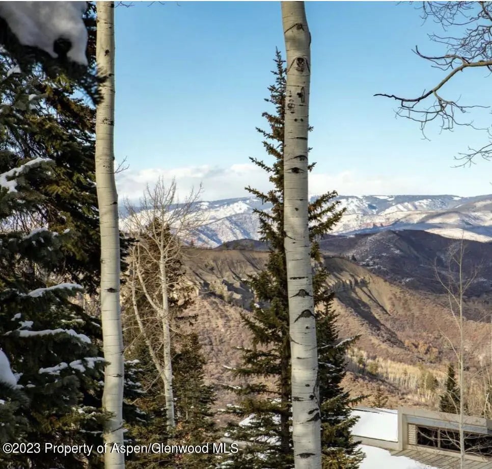 12 of 38 - 1155 Wood Road, Snowmass Village, CO