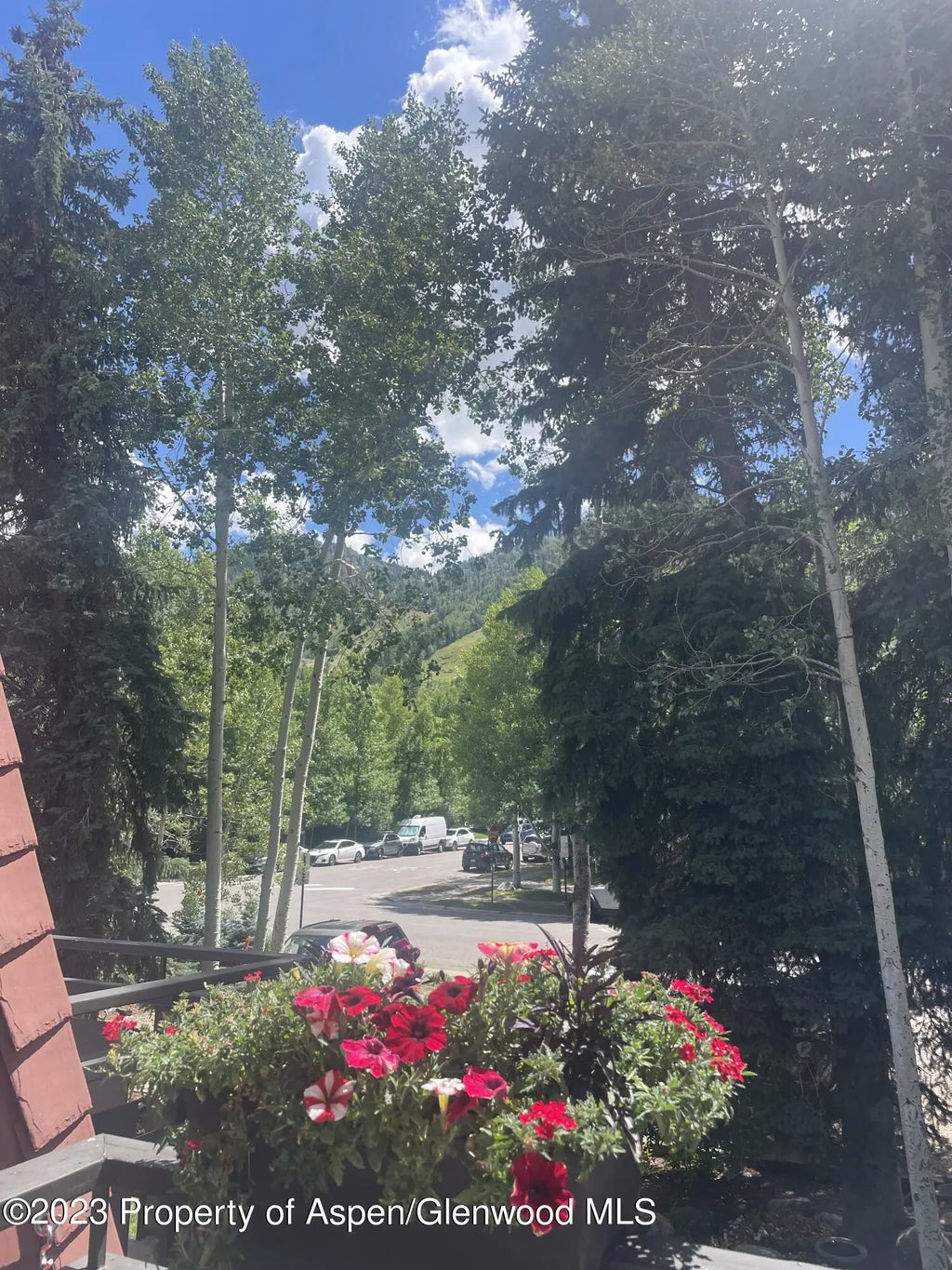 14 of 19 - 108 W Hyman Avenue Unit 7, Aspen, CO