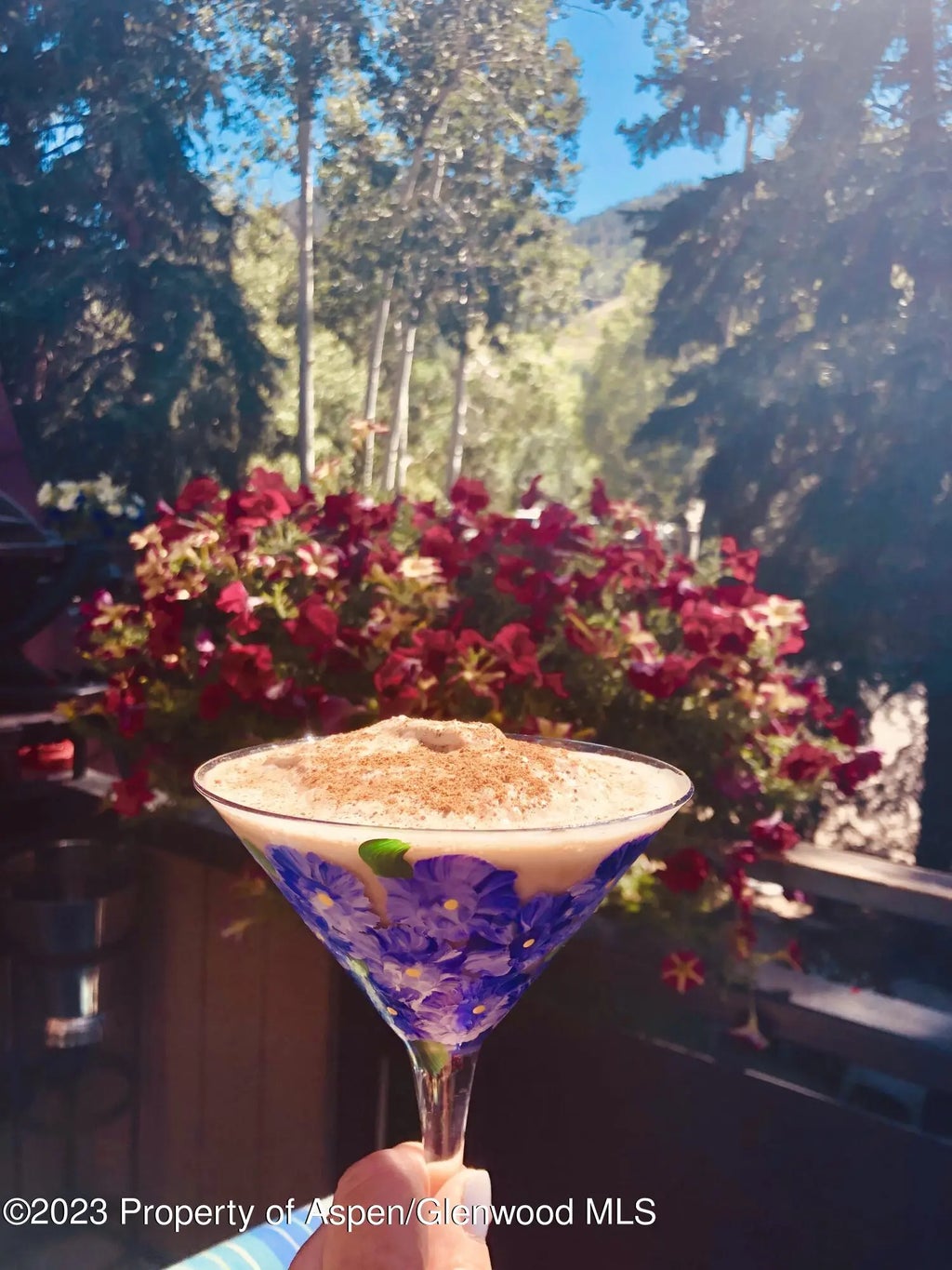 15 of 19 - 108 W Hyman Avenue Unit 7, Aspen, CO