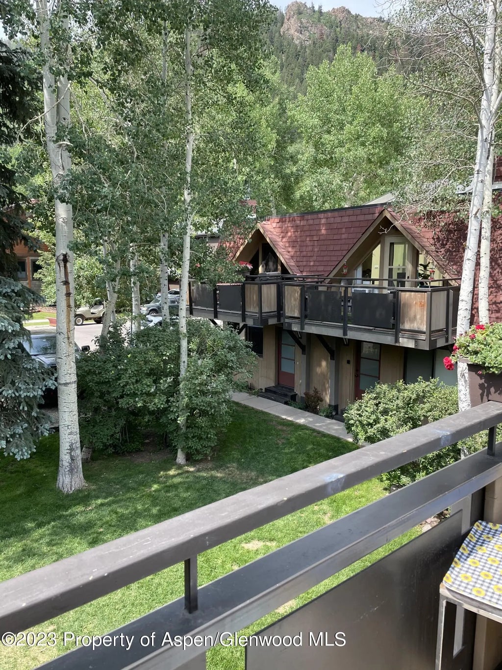17 of 19 - 108 W Hyman Avenue Unit 7, Aspen, CO
