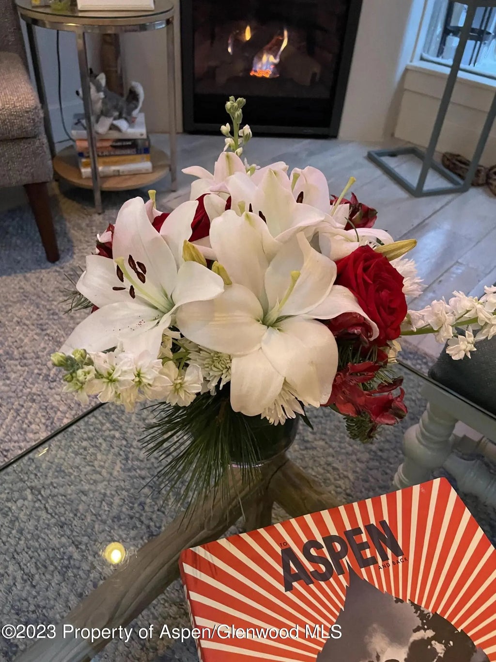 4 of 19 - 108 W Hyman Avenue Unit 7, Aspen, CO