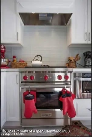 5 of 19 - 108 W Hyman Avenue Unit 7, Aspen, CO