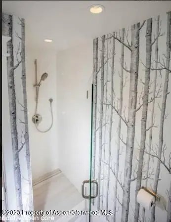 7 of 19 - 108 W Hyman Avenue Unit 7, Aspen, CO