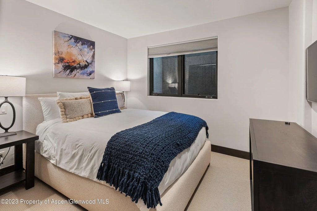 25 of 30 - 126 Park Avenue Unit 2, Aspen, CO