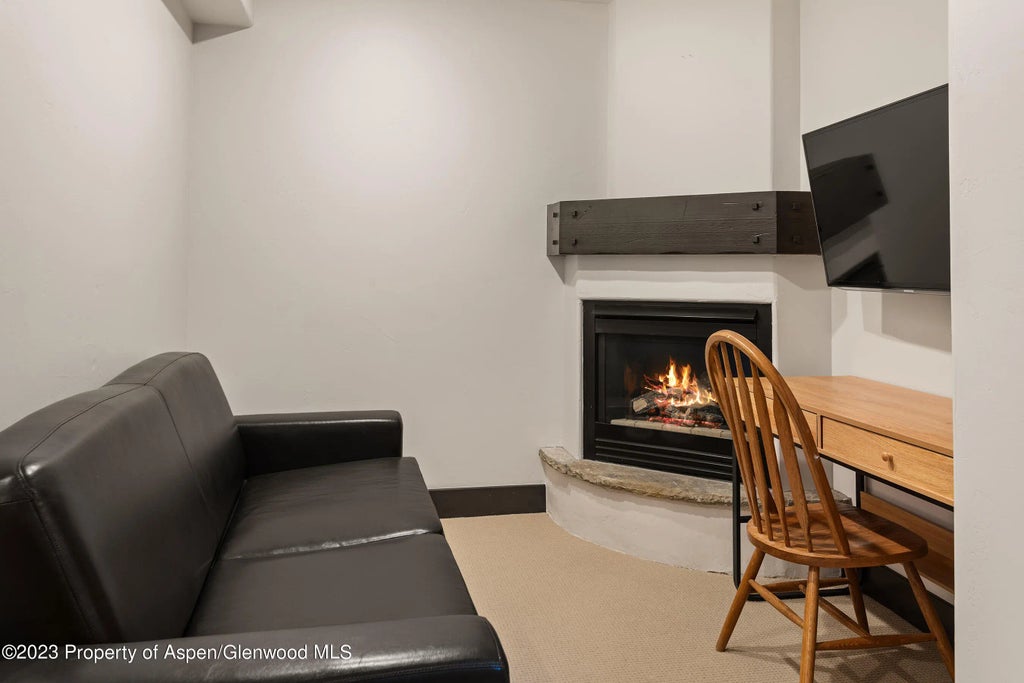 28 of 30 - 126 Park Avenue Unit 2, Aspen, CO