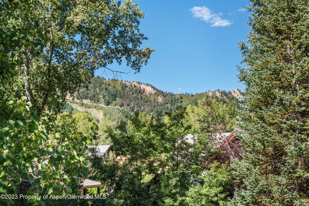 30 of 30 - 126 Park Avenue Unit 2, Aspen, CO