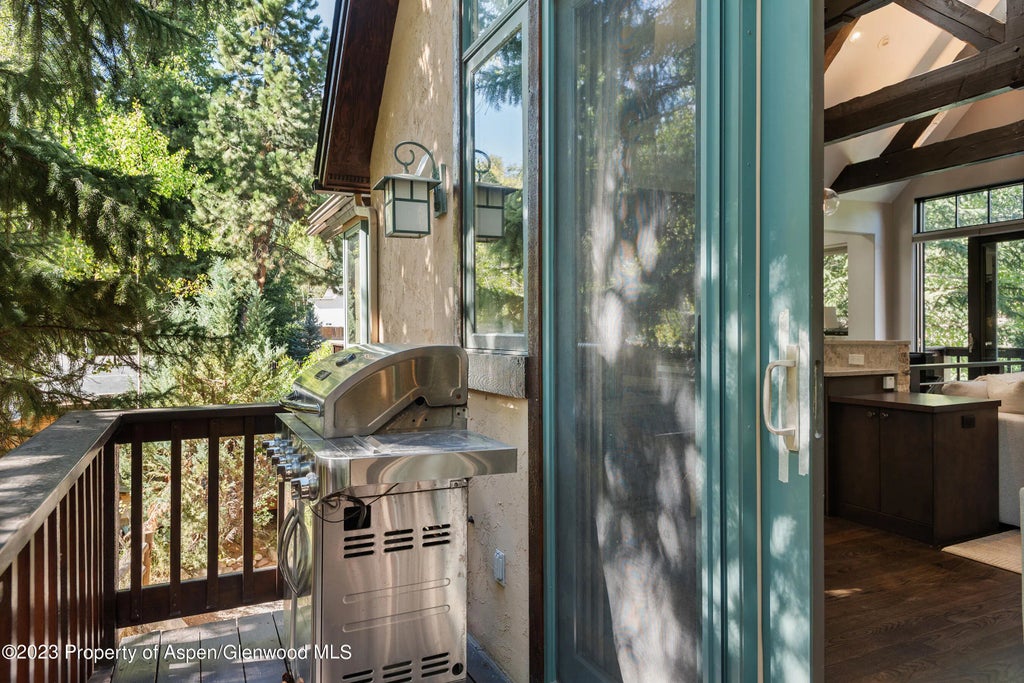 9 of 30 - 126 Park Avenue Unit 2, Aspen, CO