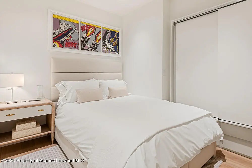 18 of 27 - 623 S Monarch Street B, Aspen, CO