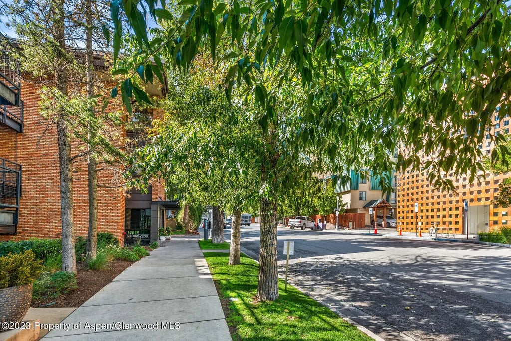 13 of 15 - 300 S Spring Street 302, Aspen, CO