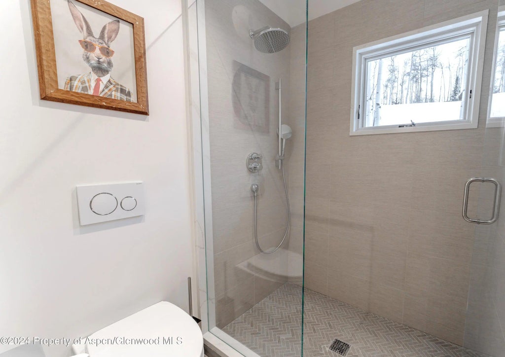24 of 35 - 234 Edgewood Lane, Snowmass Village, CO