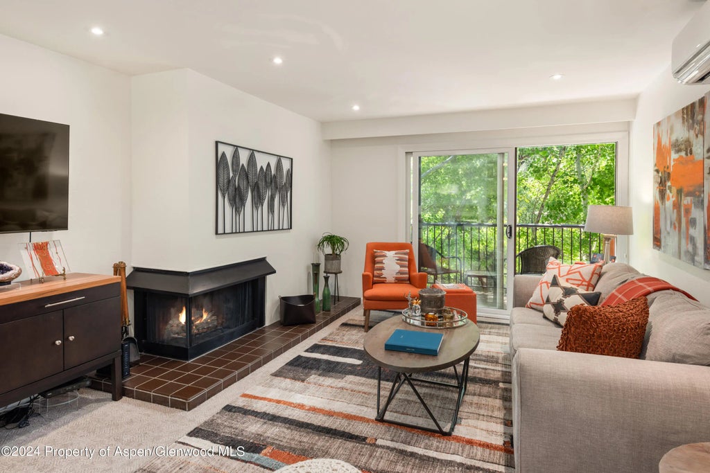 1 of 20 - 205 E Durant Avenue 3f, Aspen, CO