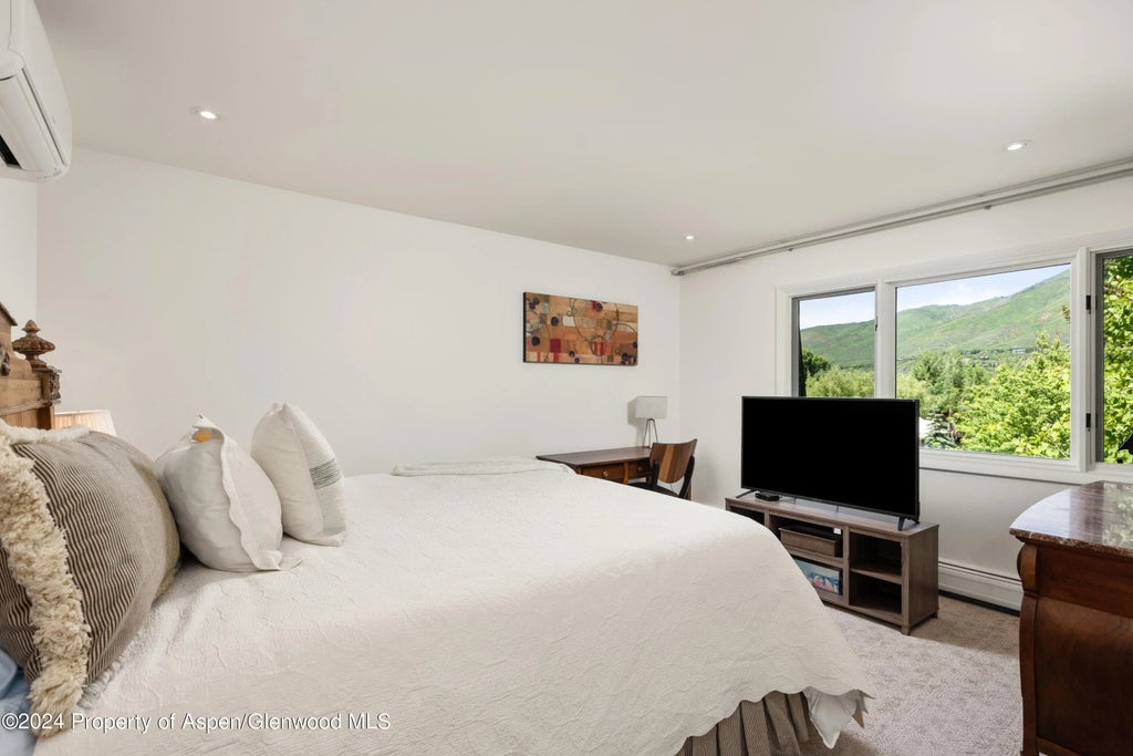 10 of 20 - 205 E Durant Avenue 3f, Aspen, CO