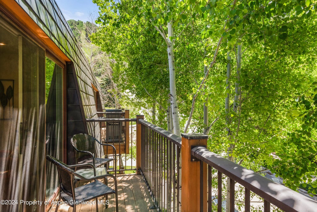 18 of 20 - 205 E Durant Avenue 3f, Aspen, CO