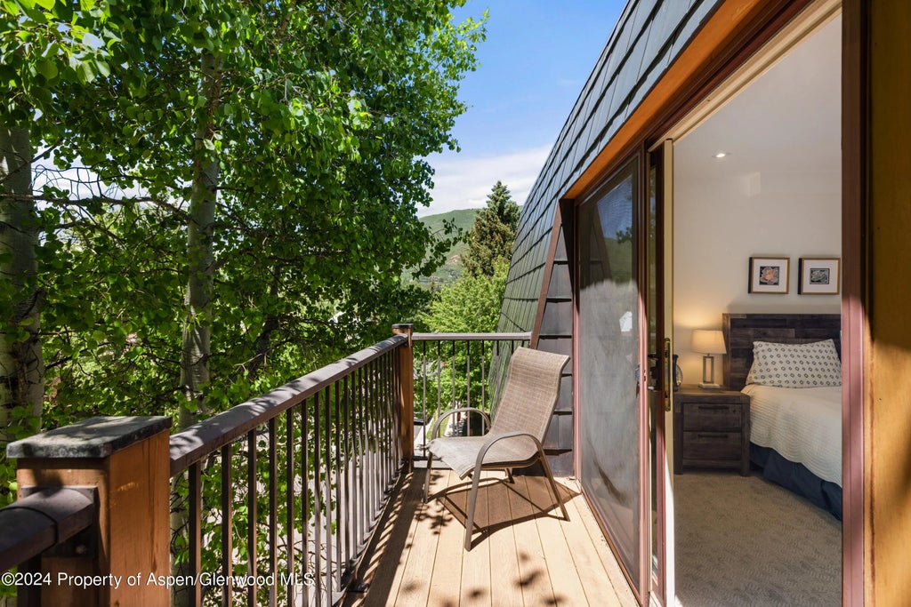 19 of 20 - 205 E Durant Avenue 3f, Aspen, CO