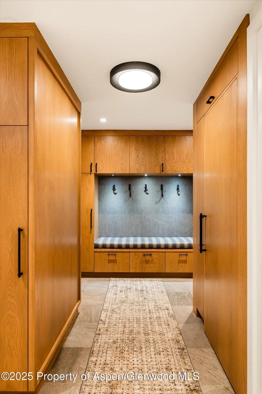 18 of 21 - 650 S Monarch Street 2, Aspen, CO