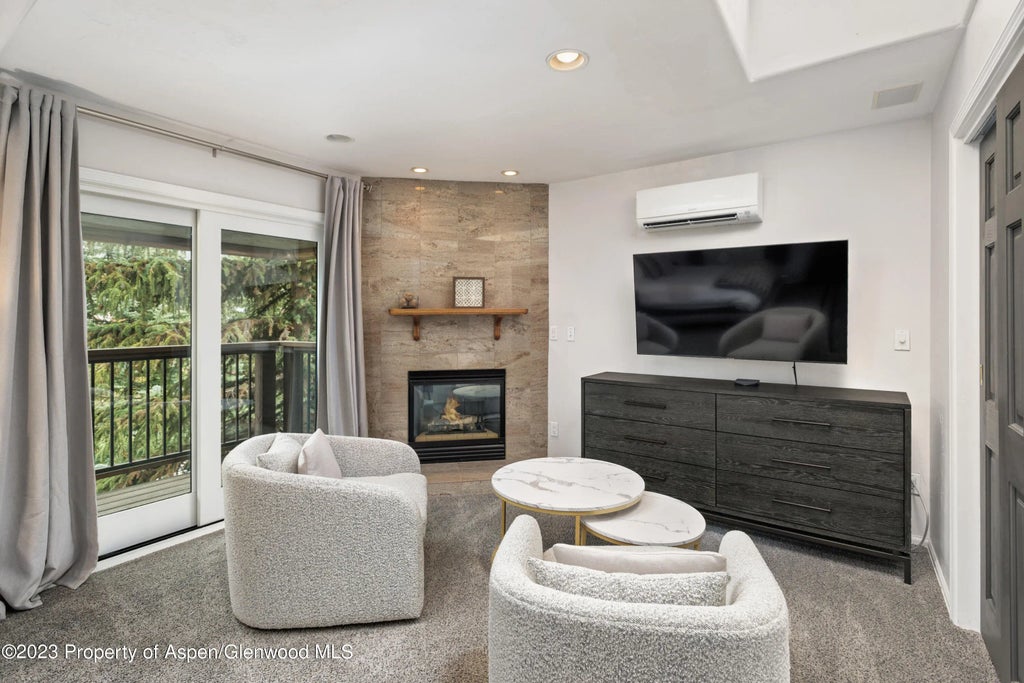 6 of 21 - 650 S Monarch Street 2, Aspen, CO