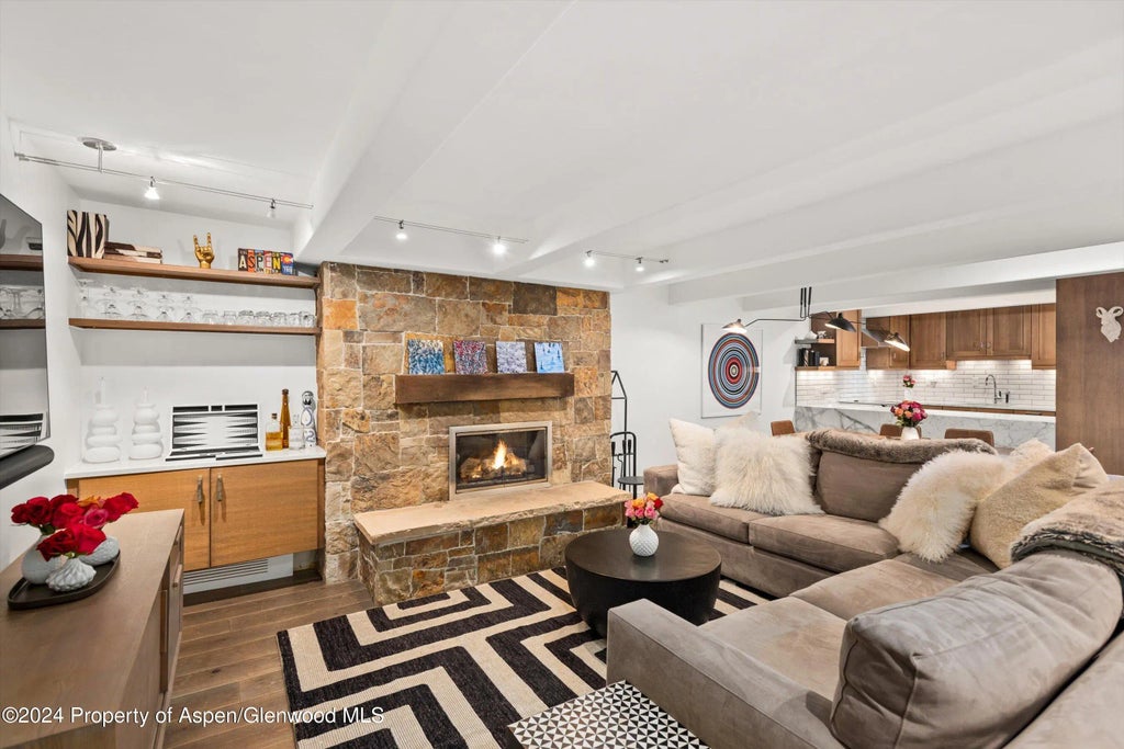 1 of 17 - 124 W Hyman Avenue 3d, Aspen, CO