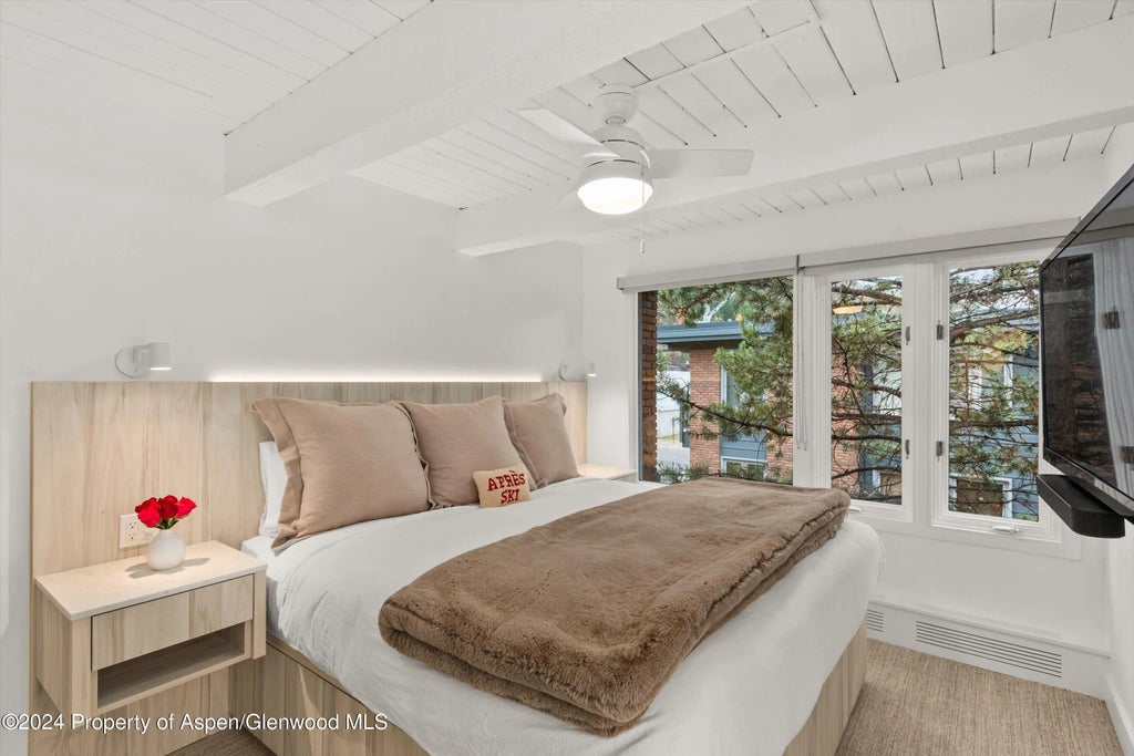 10 of 17 - 124 W Hyman Avenue 3d, Aspen, CO