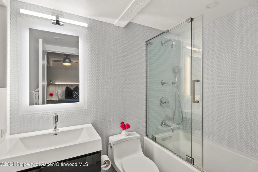 13 of 17 - 124 W Hyman Avenue 3d, Aspen, CO